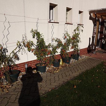 Pension Regenbogen Stralsund Extérieur photo