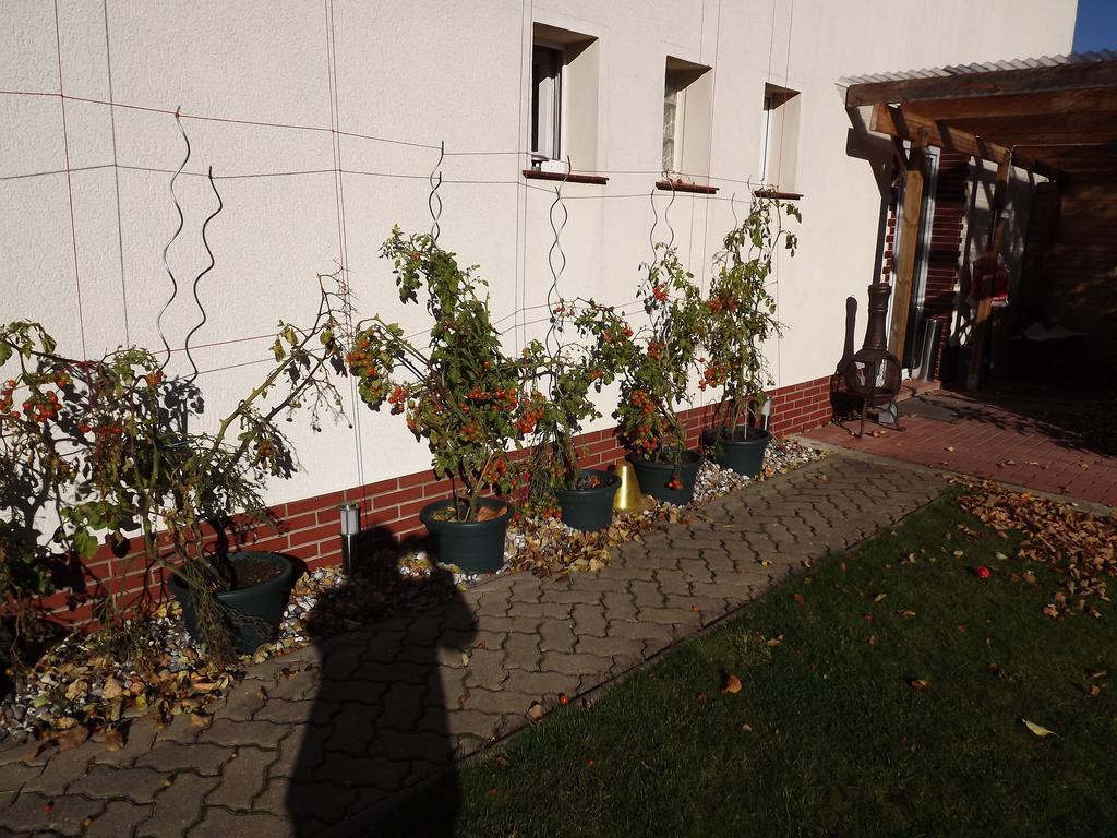 Pension Regenbogen Stralsund Extérieur photo